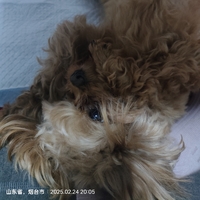 個(gè)人