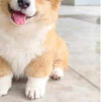 个人