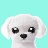 个人