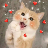 個人