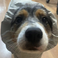 個人