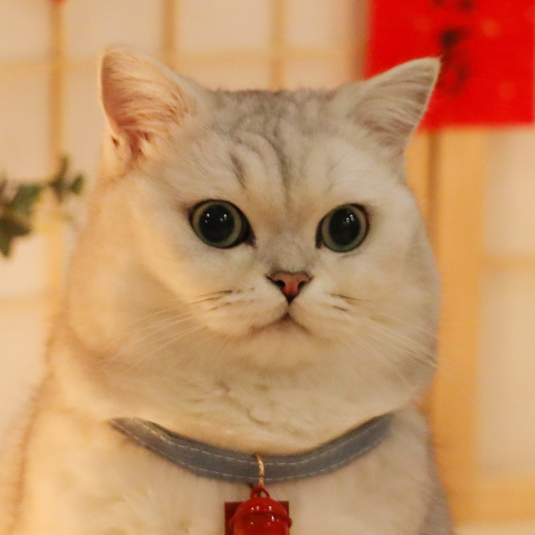 个人