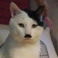 個人