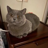 個人