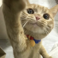 個人