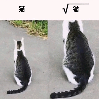 個人