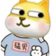 各種java開發(fā)