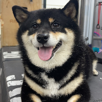 個人