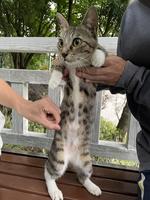 個人