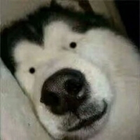 个人