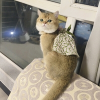 個人