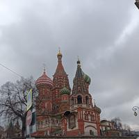 卓娅俄语商务译馆