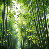 零下_37度